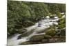 Roaring Fork river, Great Smoky Mountains National Park, Tennessee-Adam Jones-Mounted Premium Photographic Print