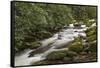 Roaring Fork river, Great Smoky Mountains National Park, Tennessee-Adam Jones-Framed Stretched Canvas