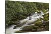 Roaring Fork river, Great Smoky Mountains National Park, Tennessee-Adam Jones-Stretched Canvas