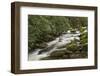 Roaring Fork river, Great Smoky Mountains National Park, Tennessee-Adam Jones-Framed Photographic Print