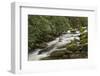 Roaring Fork river, Great Smoky Mountains National Park, Tennessee-Adam Jones-Framed Photographic Print