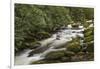 Roaring Fork river, Great Smoky Mountains National Park, Tennessee-Adam Jones-Framed Photographic Print