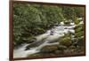 Roaring Fork river, Great Smoky Mountains National Park, Tennessee-Adam Jones-Framed Photographic Print