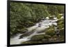 Roaring Fork river, Great Smoky Mountains National Park, Tennessee-Adam Jones-Framed Photographic Print