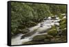 Roaring Fork river, Great Smoky Mountains National Park, Tennessee-Adam Jones-Framed Stretched Canvas
