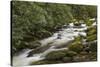 Roaring Fork river, Great Smoky Mountains National Park, Tennessee-Adam Jones-Stretched Canvas