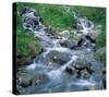 Roaring Fork-null-Stretched Canvas