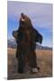 Roaring Grizzly Bear-DLILLC-Mounted Premium Photographic Print
