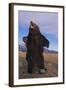 Roaring Grizzly Bear-DLILLC-Framed Photographic Print