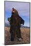 Roaring Grizzly Bear-DLILLC-Mounted Photographic Print