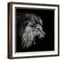 Roaring Lion #2-Christian Meermann-Framed Photographic Print