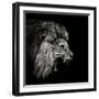 Roaring Lion #2-Christian Meermann-Framed Photographic Print