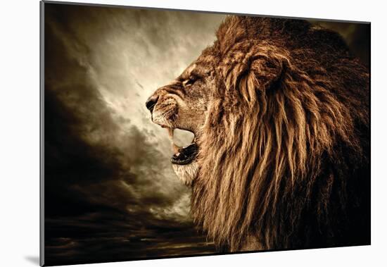 Roaring Lion Against Stormy Sky-null-Mounted Poster
