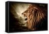 Roaring Lion Against Stormy Sky-NejroN Photo-Framed Stretched Canvas