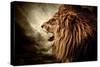 Roaring Lion Against Stormy Sky-NejroN Photo-Stretched Canvas