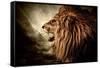 Roaring Lion Against Stormy Sky-NejroN Photo-Framed Stretched Canvas