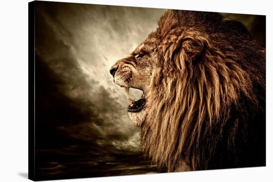 Roaring Lion Against Stormy Sky-NejroN Photo-Stretched Canvas