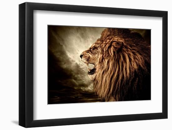 Roaring Lion Against Stormy Sky-NejroN Photo-Framed Photographic Print