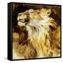 Roaring Lion, C.1833-35-Eugene Delacroix-Framed Stretched Canvas