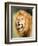 Roaring Lion, Masai Mara, Kenya, East Africa, Africa-Karen Deakin-Framed Photographic Print