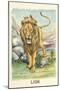 Roaring Lion-null-Mounted Art Print