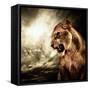Roaring Lioness Against Stormy Sky-NejroN Photo-Framed Stretched Canvas