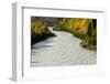 Roaring river and autumn color as seen off Richardson Highway, Route 4, North of Paxon, Alaska-null-Framed Photographic Print
