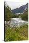 Roaring River, Wildflowers and Mountains, Lodal Valley Near Kjenndalen Glacier-Eleanor Scriven-Stretched Canvas