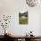 Roaring River, Wildflowers and Mountains, Lodal Valley Near Kjenndalen Glacier-Eleanor Scriven-Photographic Print displayed on a wall