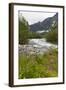 Roaring River, Wildflowers and Mountains, Lodal Valley Near Kjenndalen Glacier-Eleanor Scriven-Framed Photographic Print