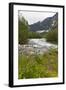 Roaring River, Wildflowers and Mountains, Lodal Valley Near Kjenndalen Glacier-Eleanor Scriven-Framed Photographic Print