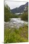 Roaring River, Wildflowers and Mountains, Lodal Valley Near Kjenndalen Glacier-Eleanor Scriven-Mounted Photographic Print