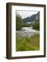 Roaring River, Wildflowers and Mountains, Lodal Valley Near Kjenndalen Glacier-Eleanor Scriven-Framed Photographic Print