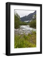 Roaring River, Wildflowers and Mountains, Lodal Valley Near Kjenndalen Glacier-Eleanor Scriven-Framed Photographic Print