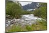 Roaring River, Wildflowers and Mountains, Lodal Valley Near Kjenndalen Glacier-Eleanor Scriven-Mounted Photographic Print