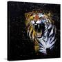 Roaring Tiger-null-Stretched Canvas