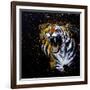 Roaring Tiger-null-Framed Art Print