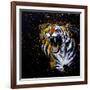 Roaring Tiger-null-Framed Art Print