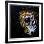 Roaring Tiger-null-Framed Art Print