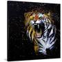 Roaring Tiger-null-Stretched Canvas