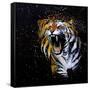 Roaring Tiger-null-Framed Stretched Canvas