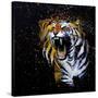 Roaring Tiger-null-Stretched Canvas