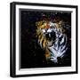 Roaring Tiger-null-Framed Art Print