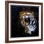 Roaring Tiger-null-Framed Art Print