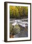 Roaring Waters I-Danny Head-Framed Photographic Print