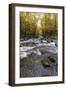 Roaring Waters II-Danny Head-Framed Photographic Print