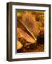 Roast Beef Being Carved, Buenos Aires, Argentina-Per Karlsson-Framed Photographic Print