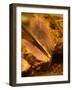 Roast Beef Being Carved, Buenos Aires, Argentina-Per Karlsson-Framed Photographic Print