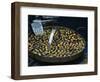 Roast Chestnuts for Sale in Piazza Di Trevi, Rome, Lazio, Italy, Europe-Tomlinson Ruth-Framed Photographic Print