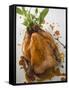 Roast Chicken with Fresh Herbs-null-Framed Stretched Canvas